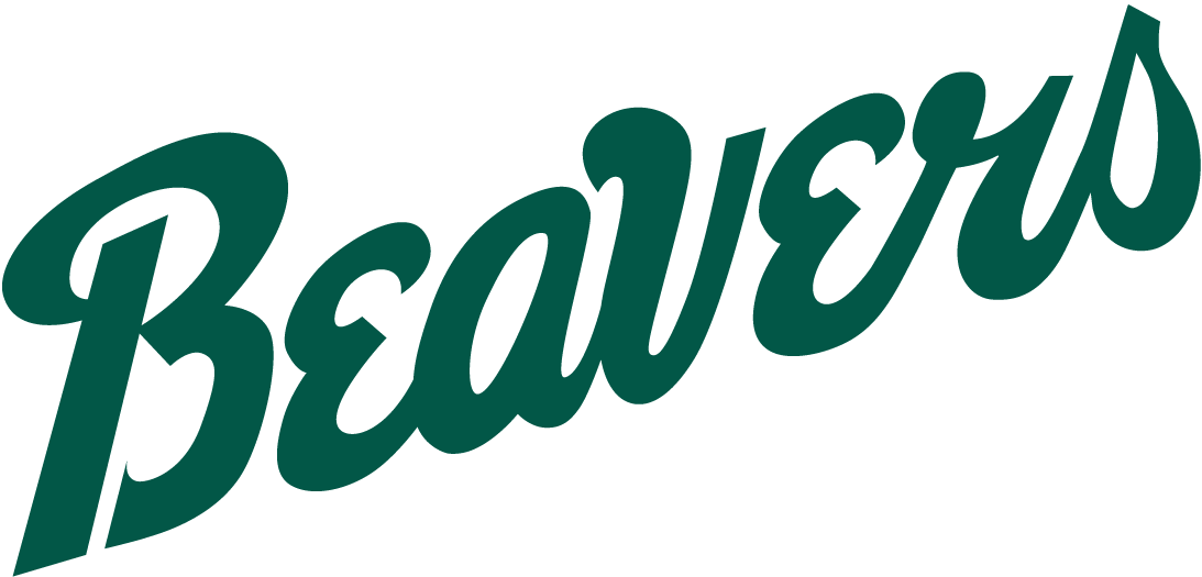 Bemidji State Beavers 2004-Pres Wordmark Logo vinyl decal